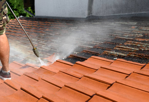 Pressure Washing Services for Businesses in Fallon, NV