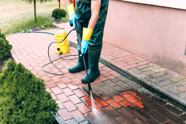 Best Roof Pressure Washing  in Fallon, NV