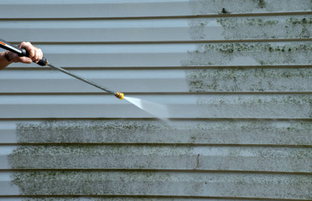 Best Roof Pressure Washing  in Fallon, NV