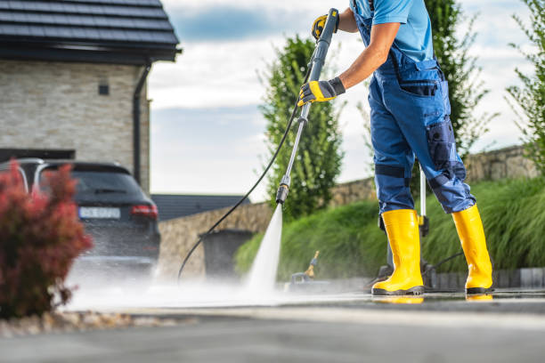 Best Local Pressure Washing Services  in Fallon, NV