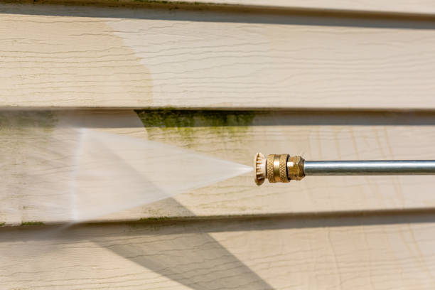Best Deck Cleaning Services  in Fallon, NV